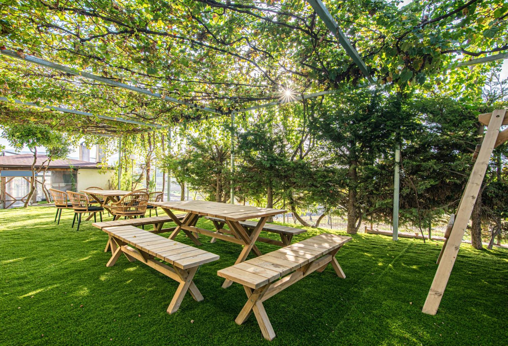 Chamomile Apartment Oinofyta Ngoại thất bức ảnh